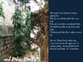 nhac hinh karaoke Tho: Hong Vy "Me" - Nhac: Long Me ,Y Van - Hinh ...