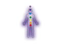 Chakra Basics by Kevin Baird.wmv