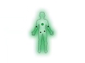 What are chakras?