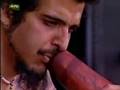 primitive reason - didgeridoo jam live@sbsr