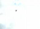 B-25 Mitchell 320 squadron tribute (fly by)