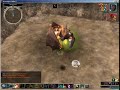 NWN2 Storm Spirit Shaman NWN2 Storm Spirit Shaman