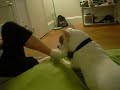 046.AVI