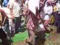 Rice Distrbution in Samraong