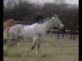 Murphy playing