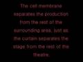 Cell Analogy