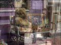 Westcliffe Colorado-A video postcard