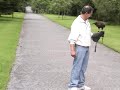 Falconry Class at Ashford Manele-Gratis.net