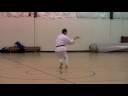 Cuong Nhu Tiger Form by Tom Panton Cuong Nhu Tiger Form by Tom Panton