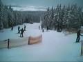 romme