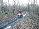 Les Dombes en novembre Les Dombes en novembre