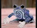 Realistic Pokemon