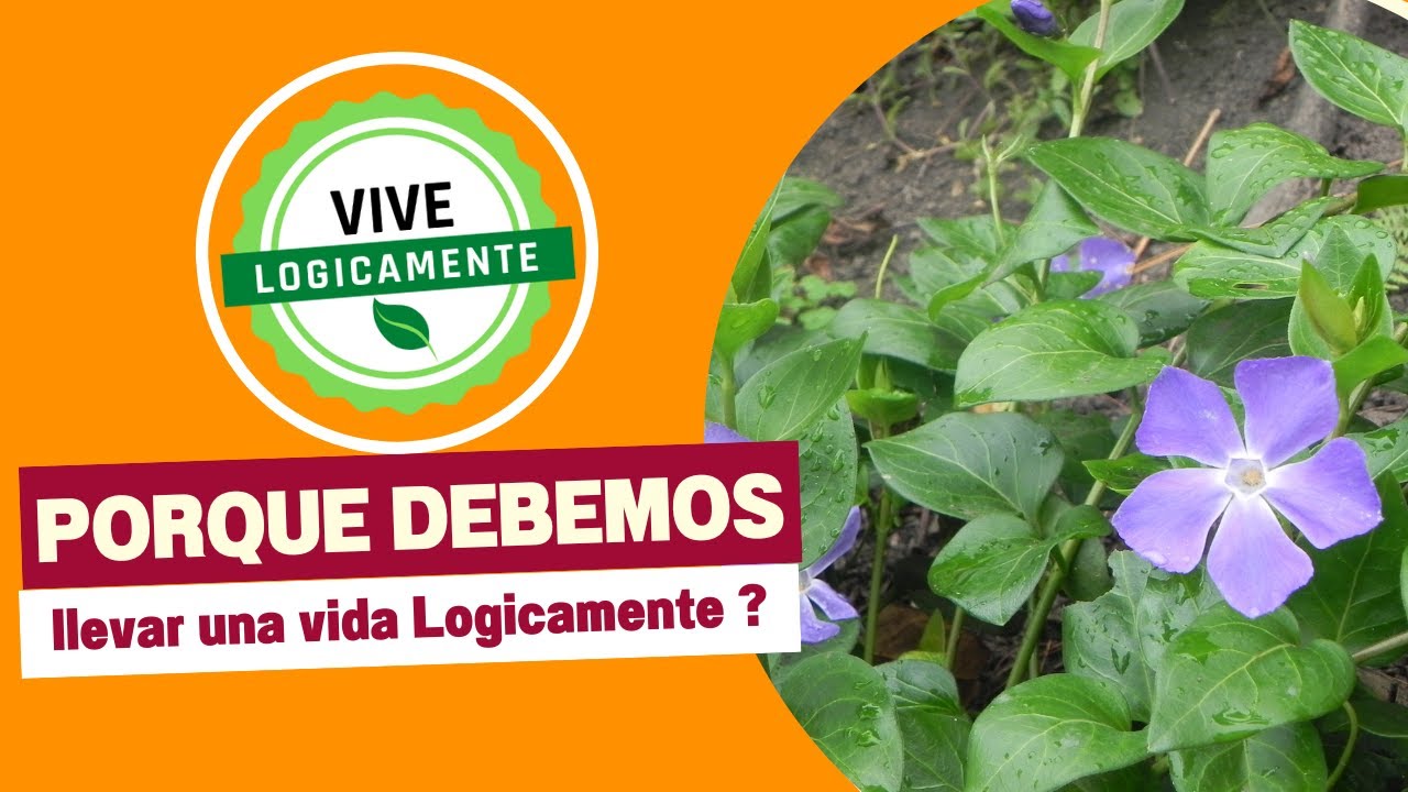 Porque debemos llevar una vida logicamente #vivelogicamente