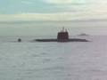 The JMSDF 2006 (JMSDF Fleet Review 2006)