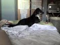 Luna aburrida 2