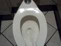 Powerful toilet
