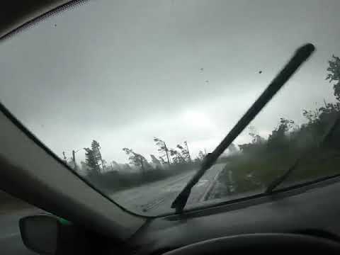 W ciągu kilku sekund huragan niszczy las w Obwodzie połockim.