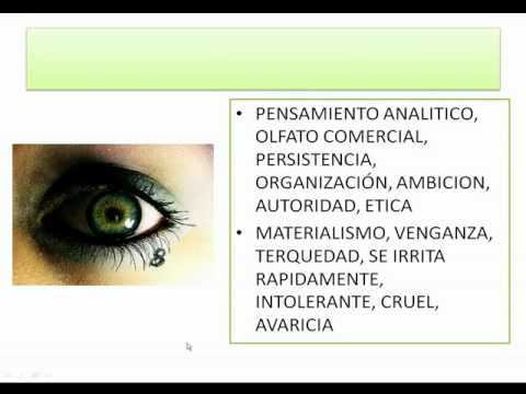 Imagen de previsualización de YouTube