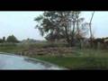 videos de Knotten 7