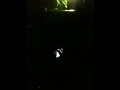 Tiesto Concert - 2/5