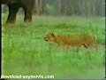 YouTubeサムネイル[xKHMv48bpsQ] - 1枚目