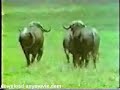 YouTubeサムネイル[xKHMv48bpsQ] - 3枚目