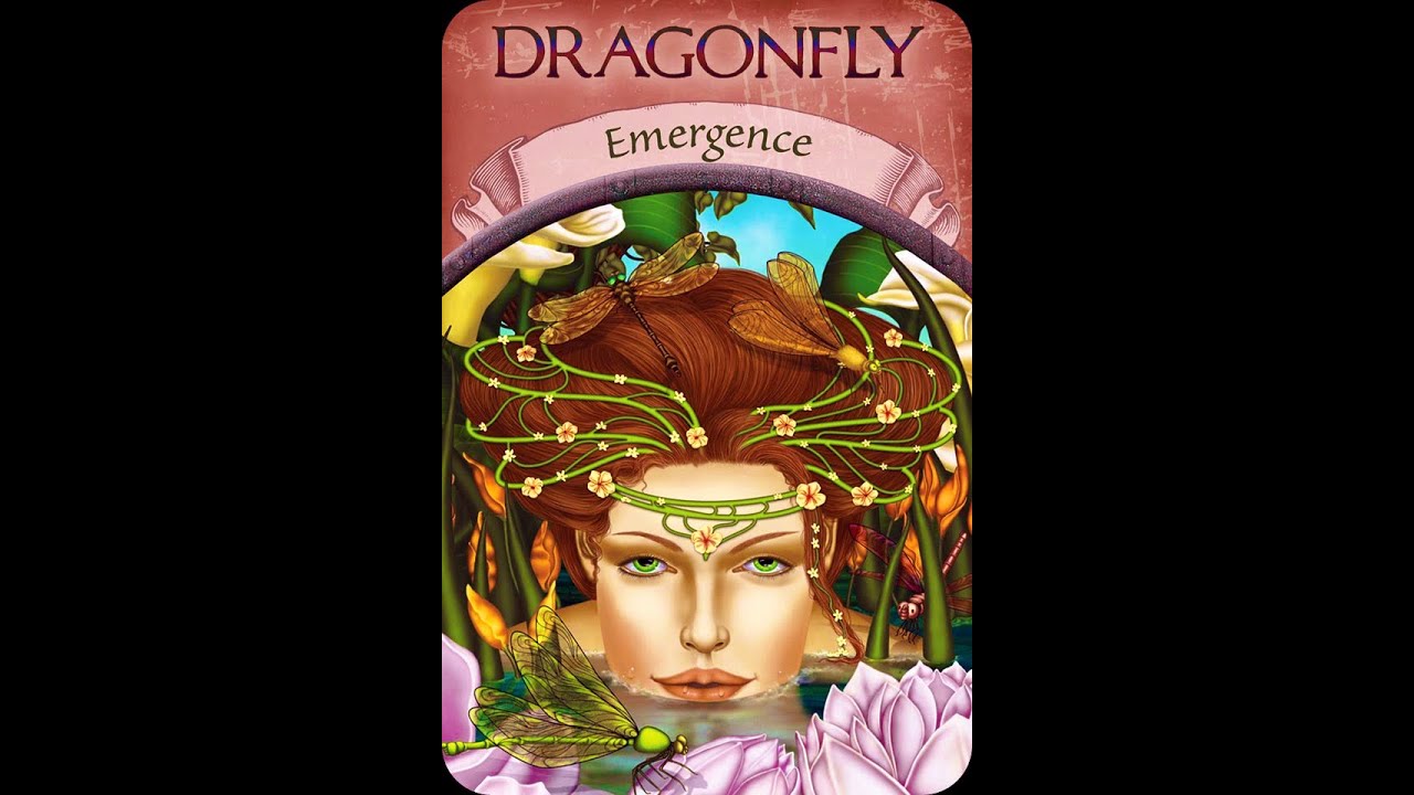 Dragonfly | Earth Magic Oracle Cards