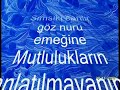 EBRU SANATI HARUN E??LMEZ www.ebrusu.com
