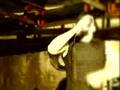 It Dies Today "Severed Ties Yield Severed Heads"