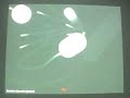 Bubble Shooter [alpha]