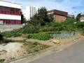 Neighborhood Gardens Tour - Gangwon-do, South Korea