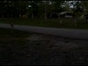 Fireflies at the campsite. Southern Tennessee, I think.