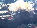 VID00015.AVI