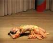 Aljaba dellydance danza del vientre VIDEO COMPLETO