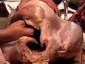 Cassie Cooks - Stuffing the Turkey