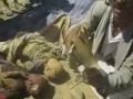Saudi Arabian Bombing on helpless civilians