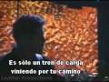Metallica - No Leaf Clover (Sub_español).mpg