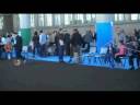 ACADSE EXP. INT. JEREZ 2008-2.avi ACADSE EXP. INT. JEREZ 2008-2.avi