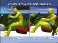 Cintur�n de Seguridad