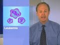 A Connection Between Stem Cells and Cancer?