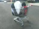 [random] Jess in the trolley