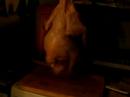chicken dance-kurak power chicken dance-kurak power