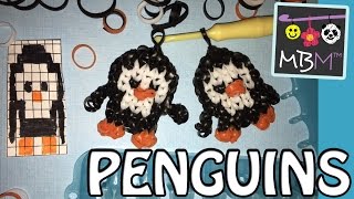 Baby Penguin