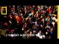 Human Family Tree on Nat Geo