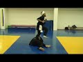 abir warrior arts vs  frontal leg attacks # 1