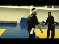 abir warrior arts vs  frontal leg attacks # 1