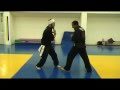 Abir Warrior Arts vs. frontal leg attacks # 1