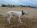 Ades a la mer Ades a la mer