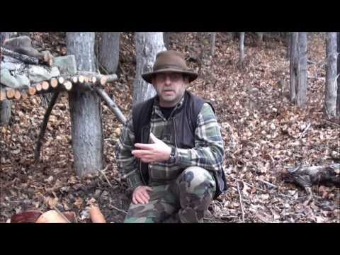how to harvest birch bark