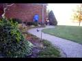 videos de Thanksgiving 2008